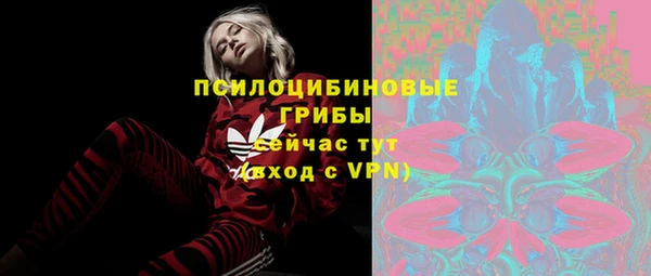 кокаин Белокуриха