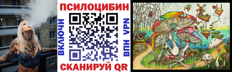 Псилоцибиновые грибы ЛСД Шуя