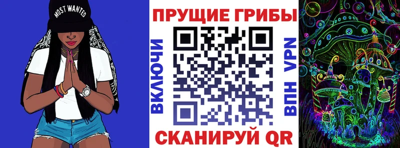 Псилоцибиновые грибы GOLDEN TEACHER  дарнет шоп  Шуя 